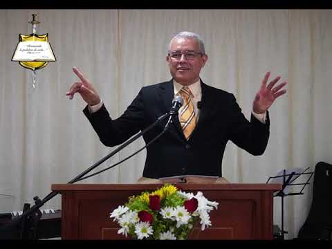 León de Judá, raíz de David