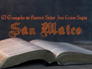1.2 Mateo - 1º Año